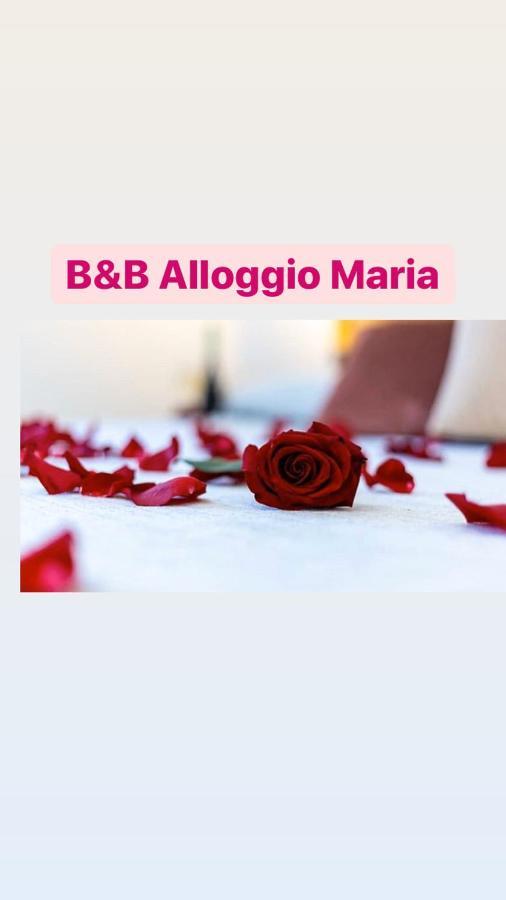 B&B Alloggio Maria Naples Exterior photo