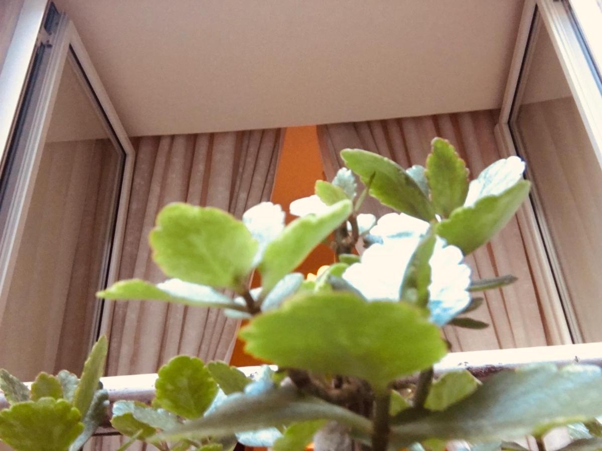 B&B Alloggio Maria Naples Exterior photo